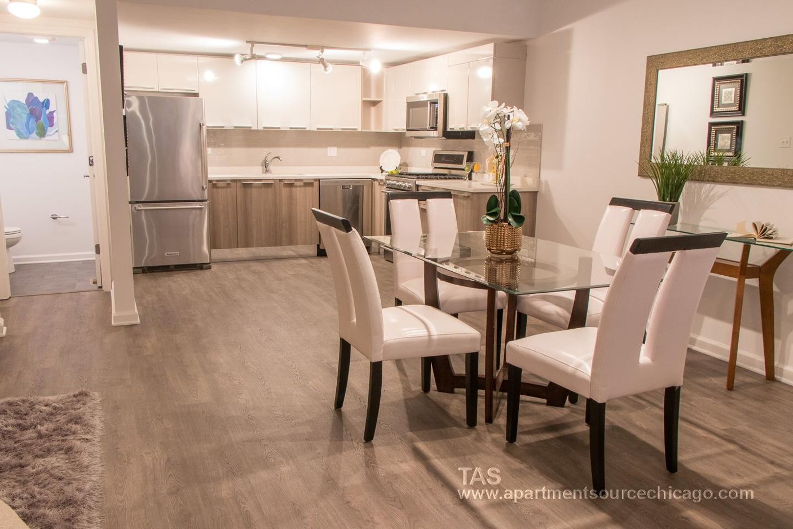 Chicago Apartment: 932 W. Dakin St. #104
