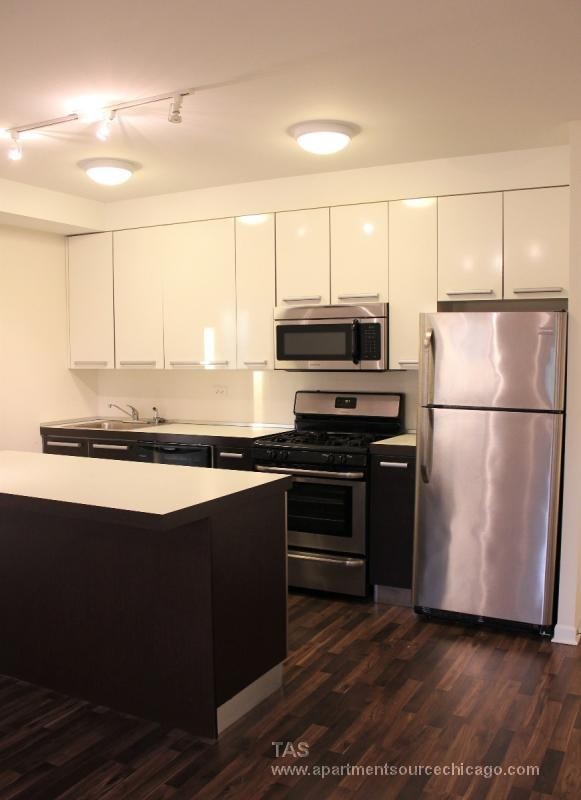 Chicago Apartment: 1544 W Glenlake Ave.