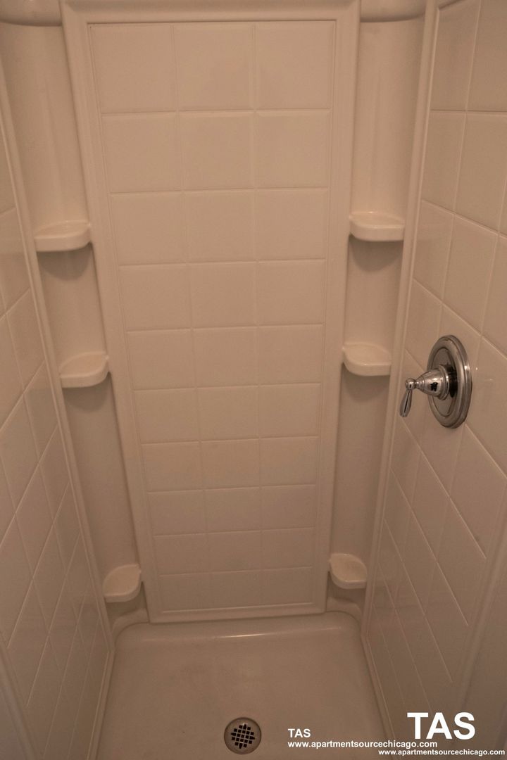 Chicago Apartment: 1544 W Glenlake Ave.