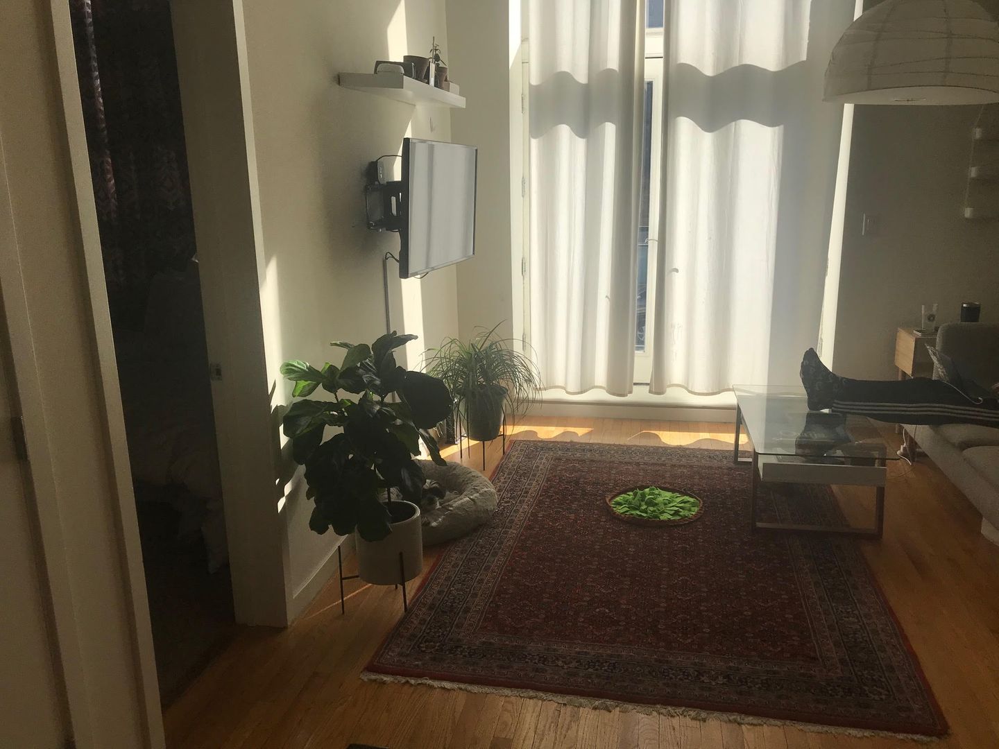 Chicago Apartment: 2401 W. North Ave.