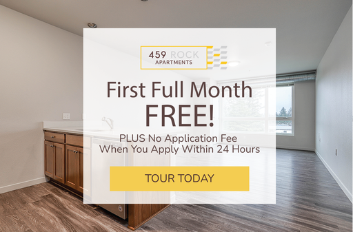 459 Rock | One Month Free Rent!! Large 2 Bedroom with Washer and Dryer in unit! – photo 1