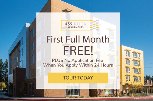 459 Rock | One Month FREE Rent! Large 3 BD/2BATH - Washer and Dryer in Unit – photo 1