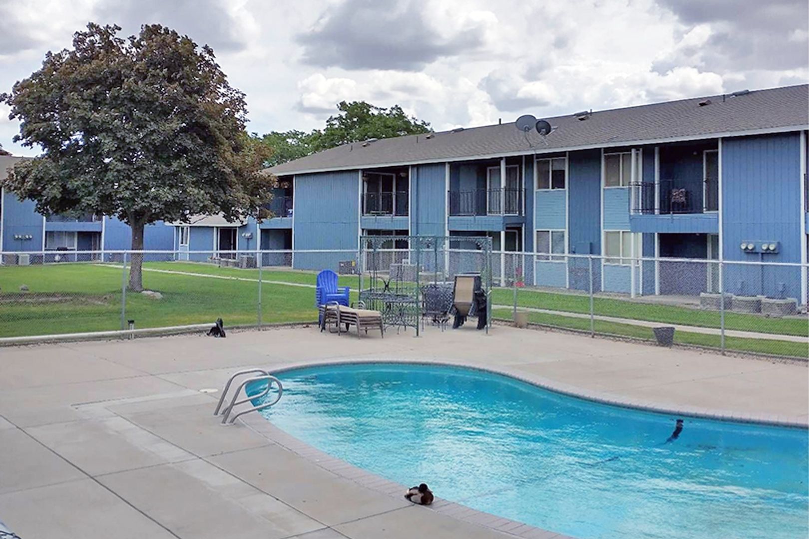 Pool at Wendover Apartments (1 of 3)