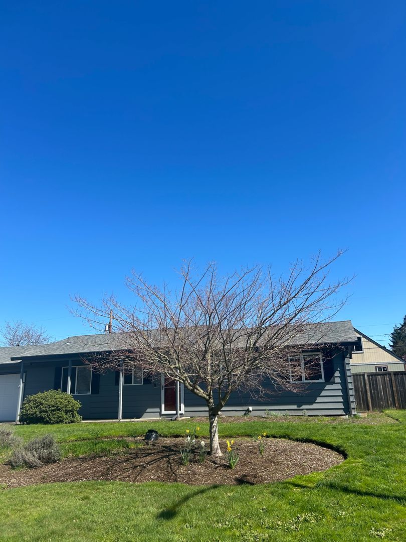 Vancouver House: 415 Memphis Way