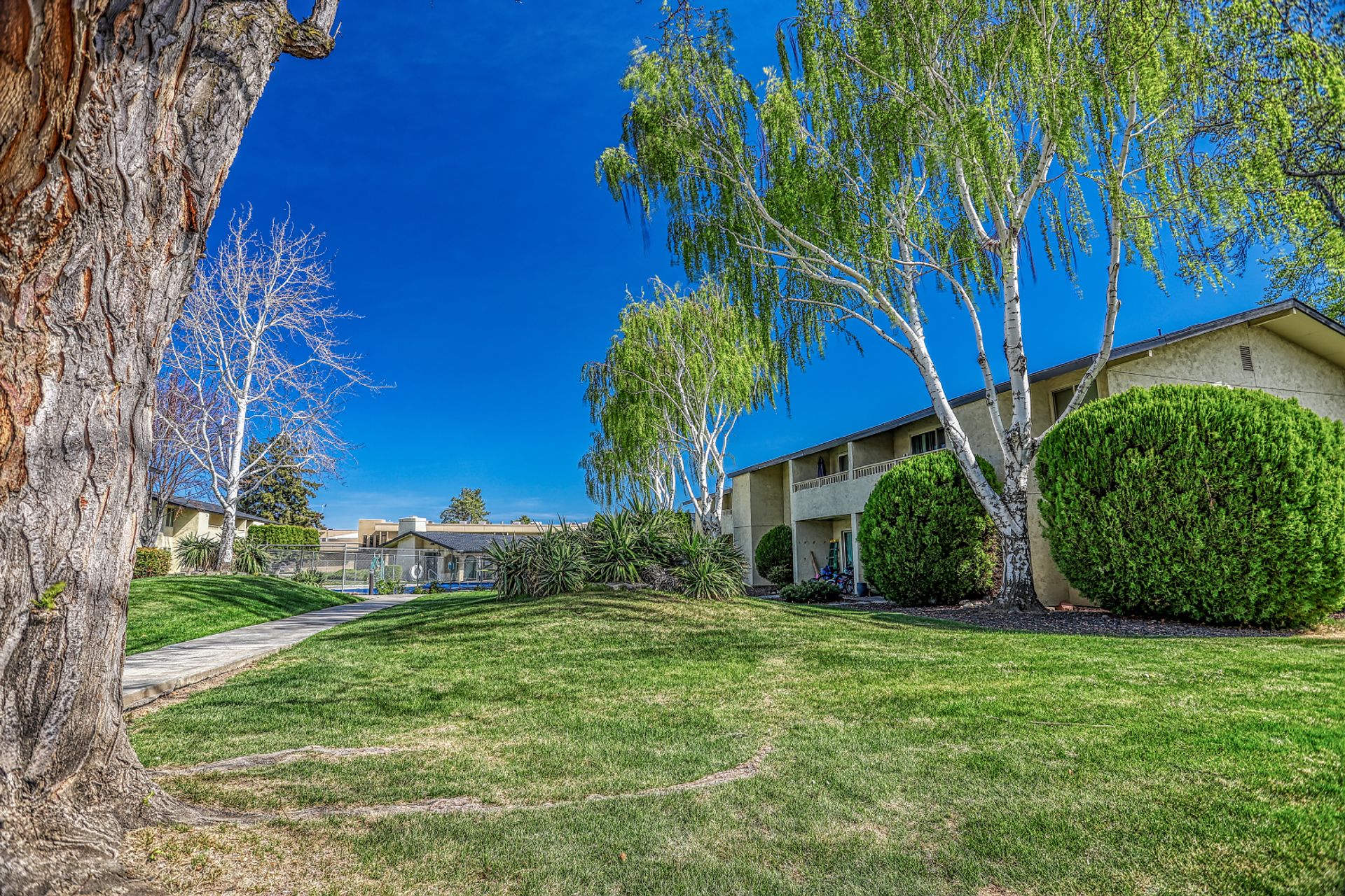Pepper Tree Village Apartments 12 of 12
