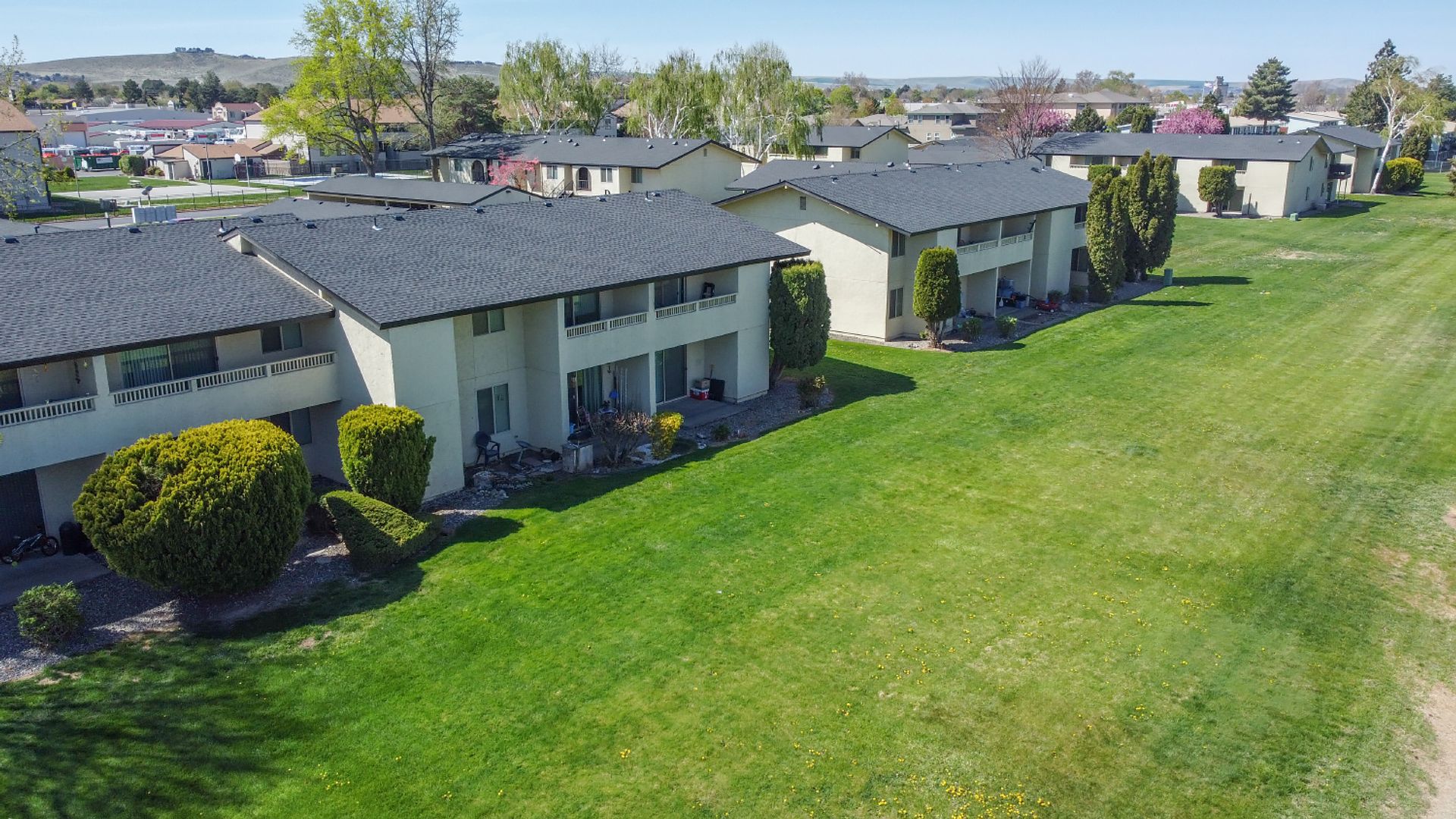 Pepper Tree Village Apartments 4 of 12