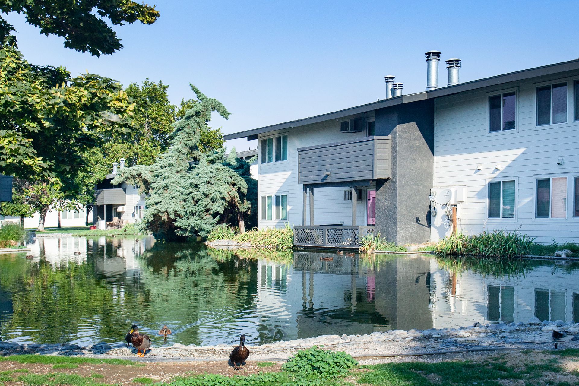 Lakeside Apartments 4 of 12