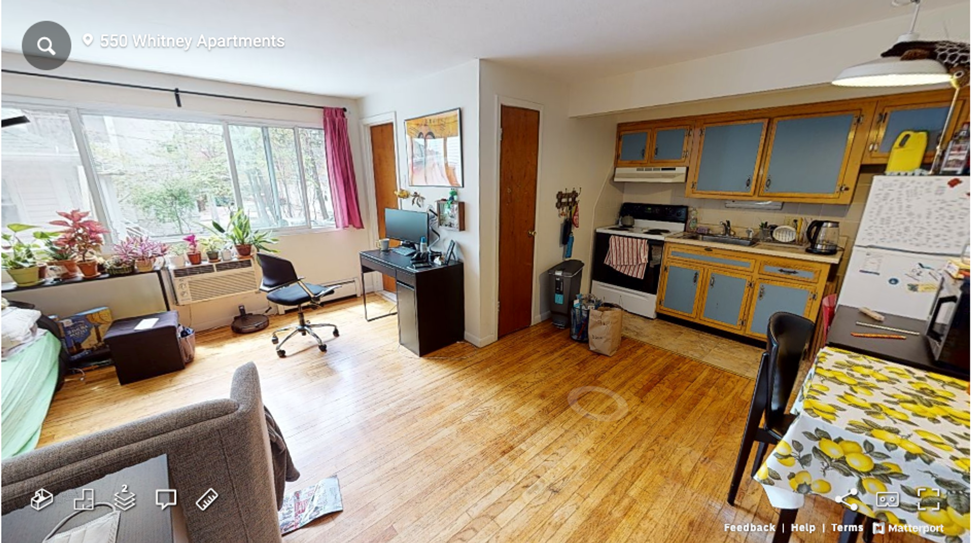 New Haven Apartment: 550 Whitney Avenue - 14