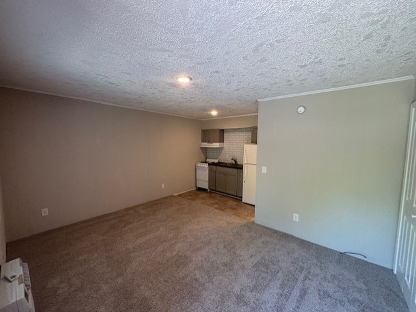Clemson Apartment: 116 Creekside Dr.