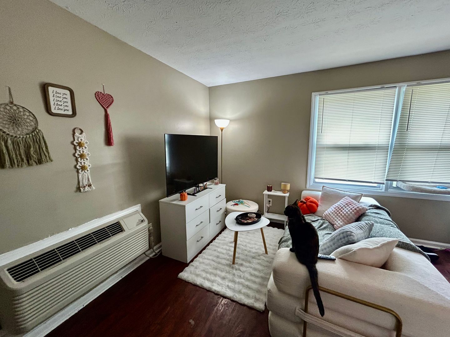 Studio Apartment Available for Pre Lease 6 of 9