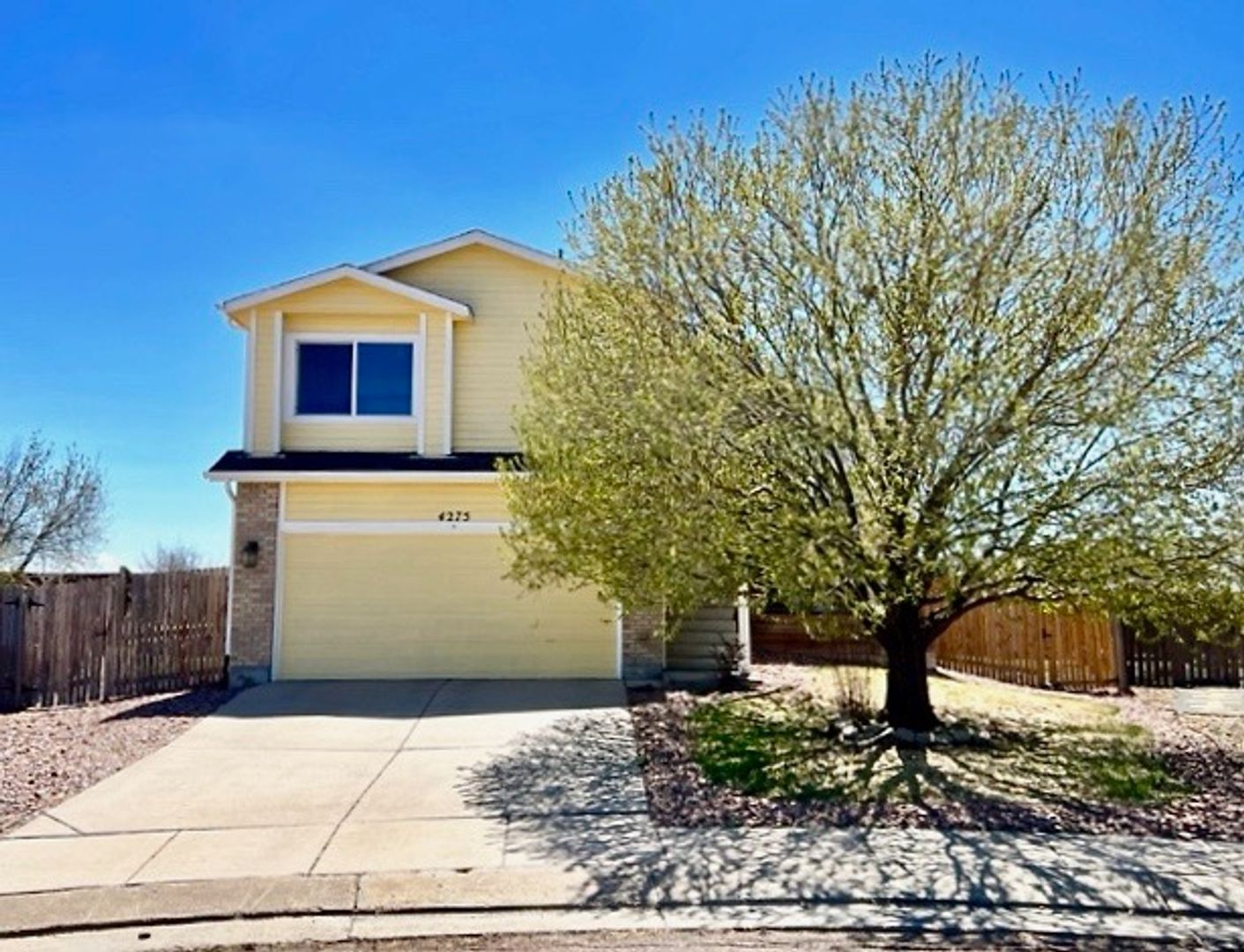 Colorado Springs House: 4275 Addax Court