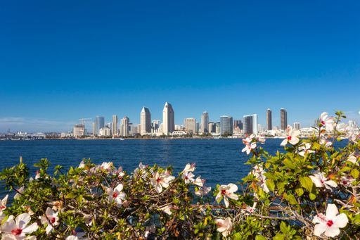 2 Bedroom in AMAZING Coronado Location with Parking and Patio! – photo 1