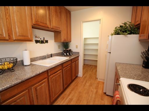 Downstairs 1 Bedroom, Walk-In Pantry, Outdoor Storage, APPLY NOW! – photo 1