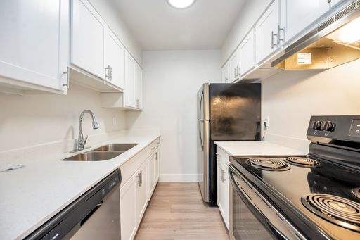 Renovated 1 Bedroom 1 Bath, 1st Floor