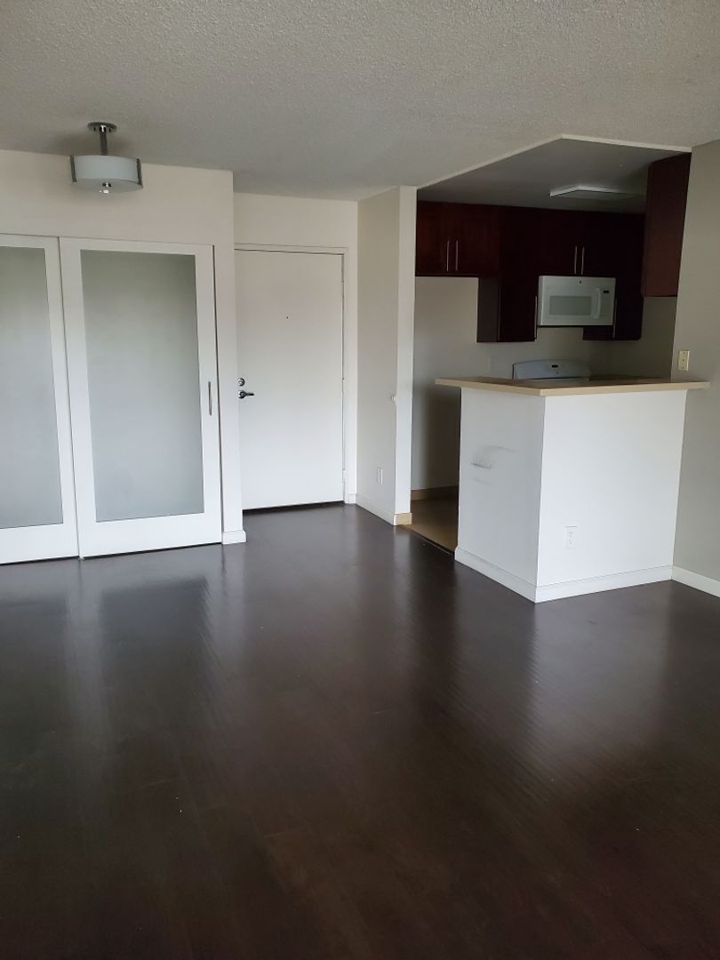 Los Angeles Apartment: 864 S. New Hampshire Ave