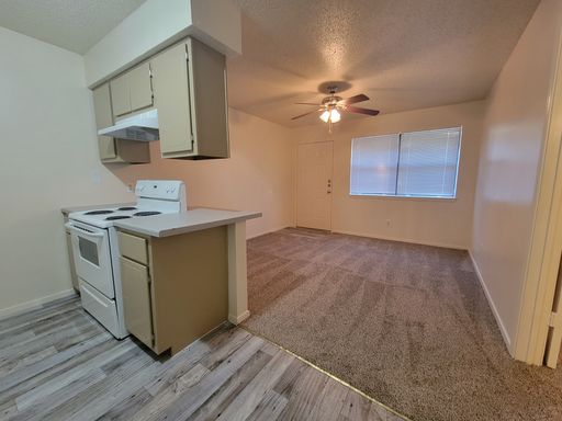 1 Bedroom 1 Bathroom