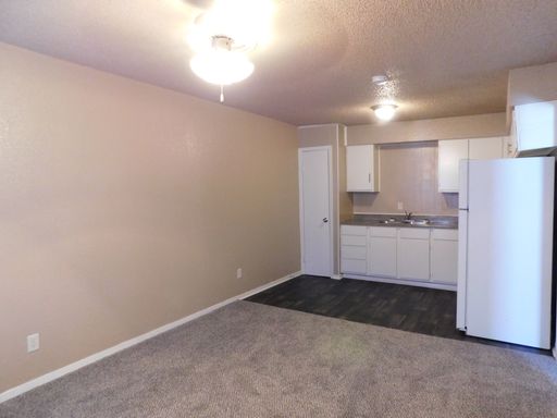 1 Bedroom 1 Bathroom