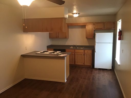 1 Bedroom 1 Bathroom