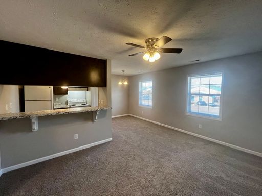 1425-D Ireland Dr. (No Pets)- Two Week Free Off First Full Month's Rent – photo 1