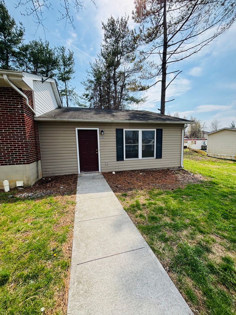 Christiansburg House: 205 Freestone Drive