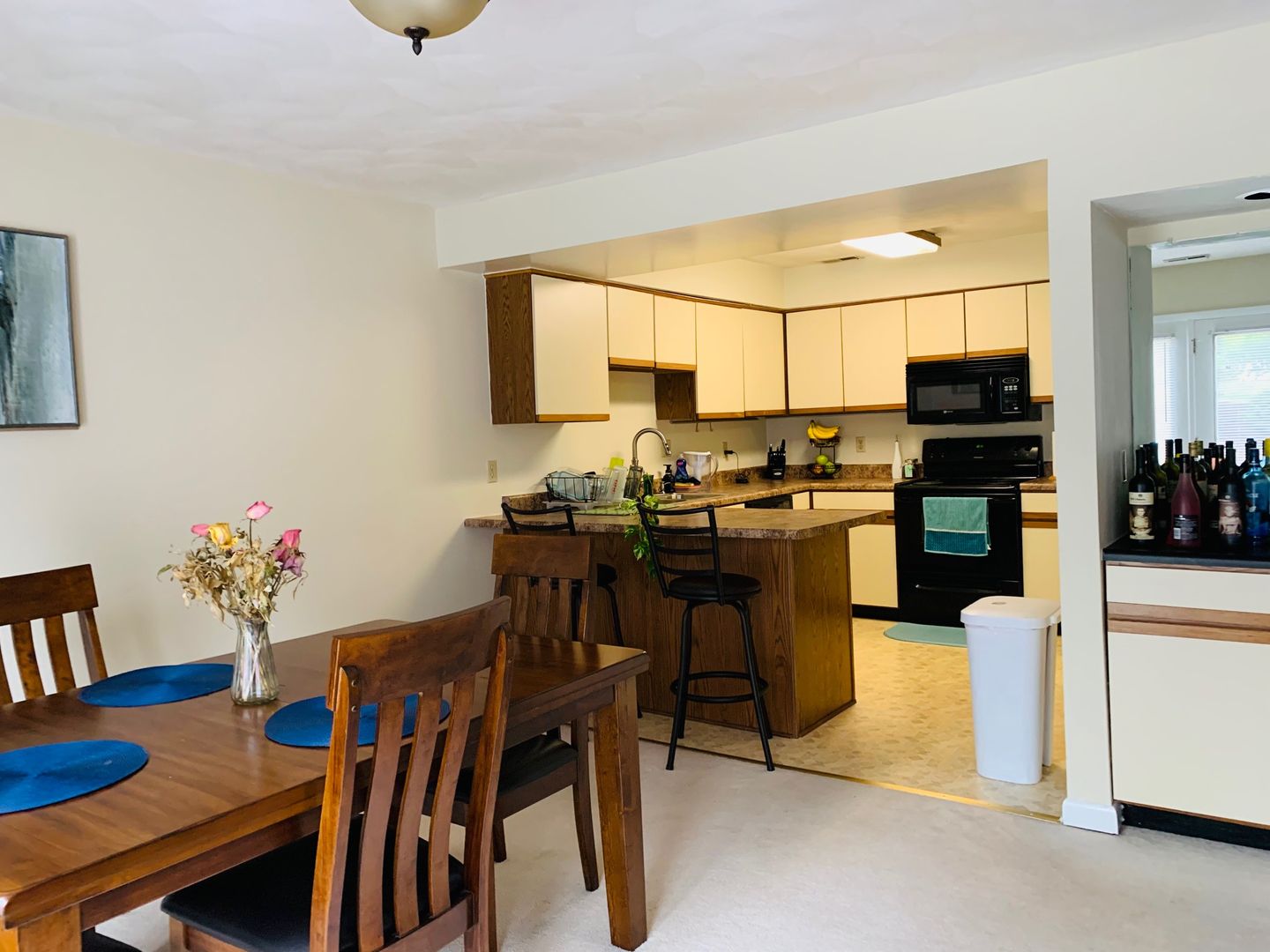 219 Woods Edge Ct., Blacksburg, VA 24060