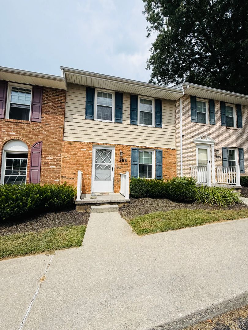 Blacksburg Townhome: 383 New Kent Rd.
