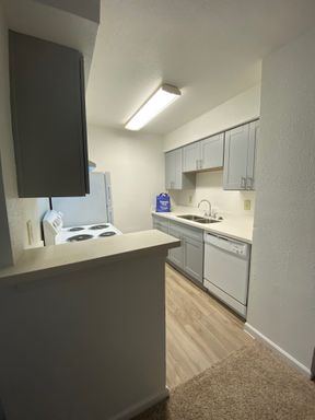 One bedroom, One bath upgraded Apartment Home – photo 1