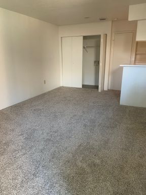 One bedroom, one and a 1/2 bathroom loft-style townhome – photo 1