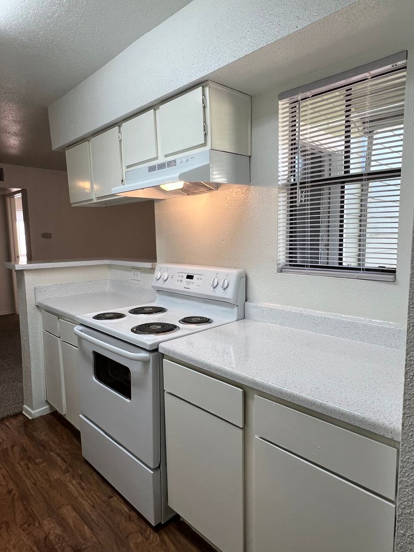 Spring Apartment: 19700 Hickory Twig Way