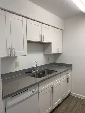 One bedroom, One bath upgraded Apartment Home – photo 1