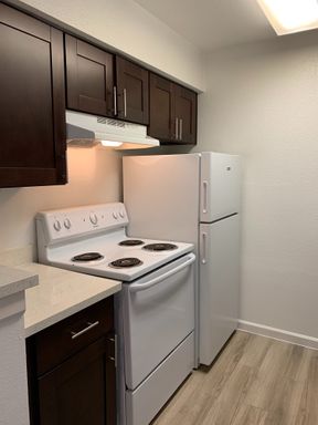 One bedroom, One bath upgraded Apartment Home – photo 1