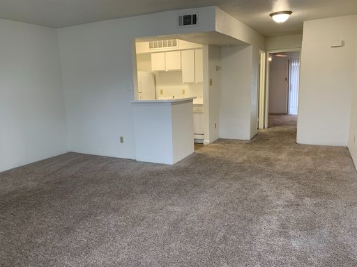 One bedroom, one bathroom apartment – photo 1