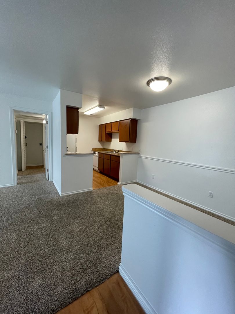 Houston Apartment: 11900 Barwood Bend Drive