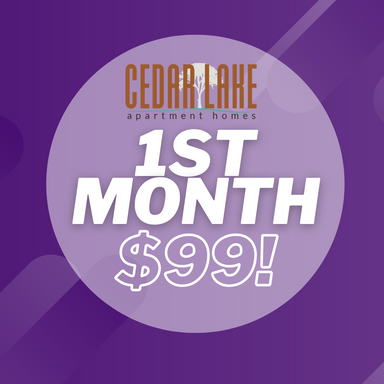 Two Bedroom Townhome - FIRST MONTH $99! – photo 1