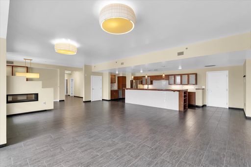 LARGE CUSTOM CONDO IN DOWNTOWN CHAMPAIGN – photo 1