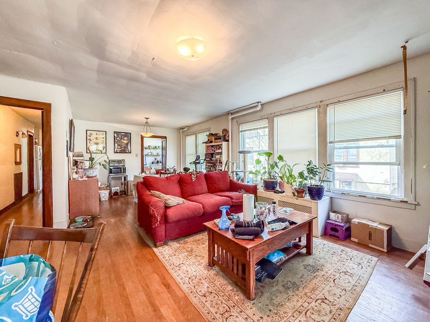 Urbana House: 407 W. Green St.