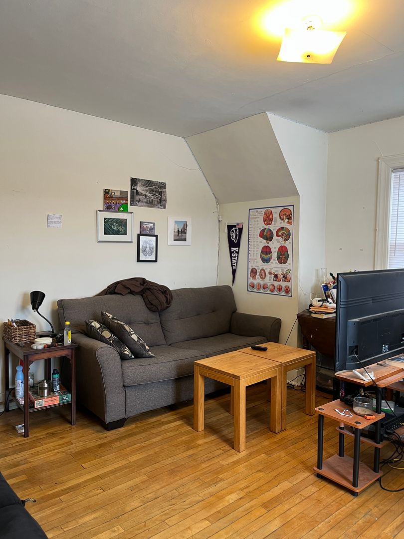 Ithaca Apartment: 106-112 Lake St