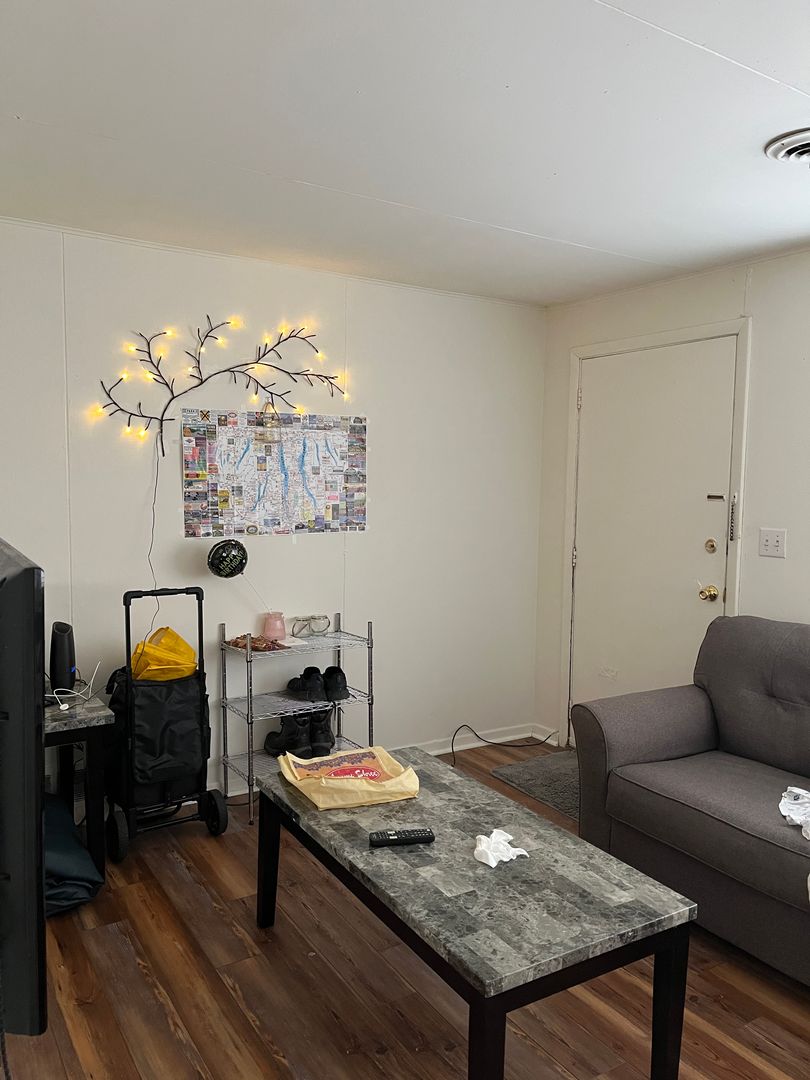 Ithaca Apartment: 106-112 Lake St