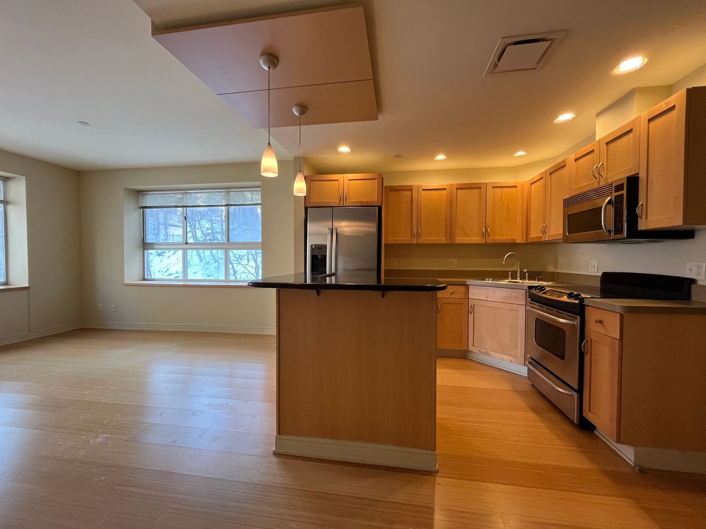Ithaca Apartment: 311 E Green