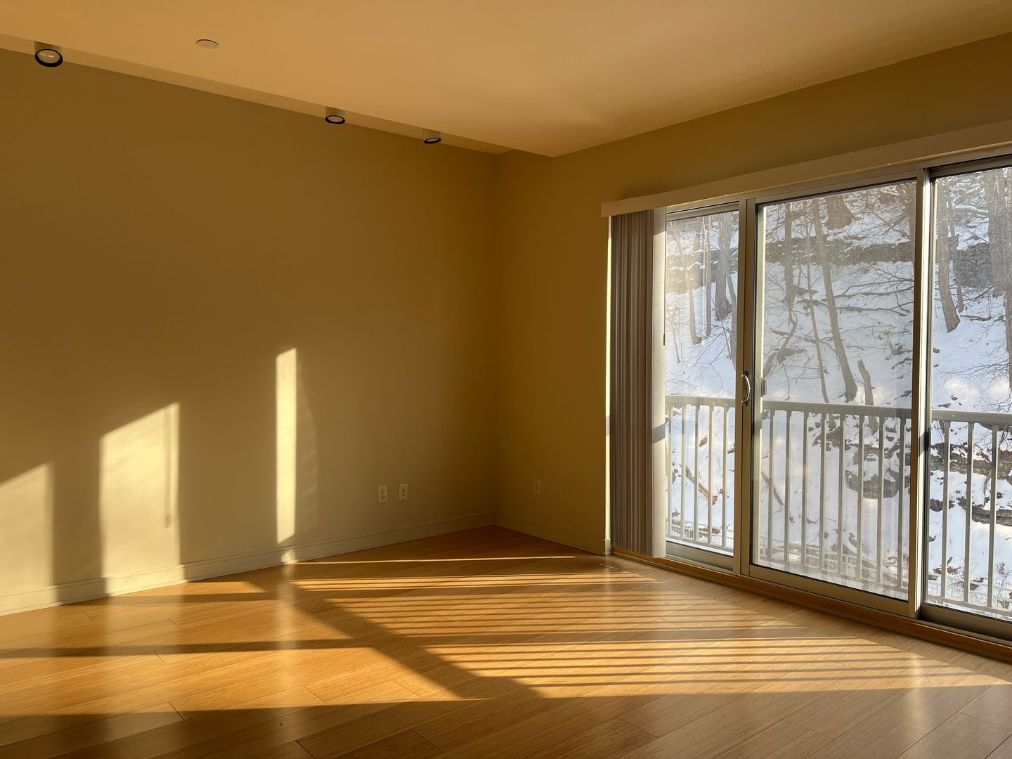 Ithaca Apartment: 311 E Green