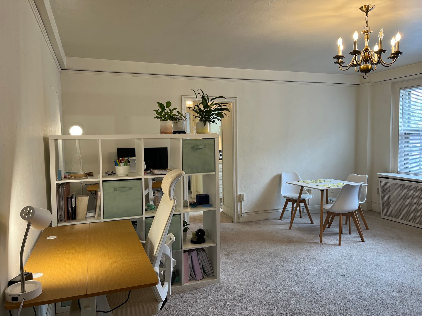 Ithaca Apartment: 100 W Buffalo St