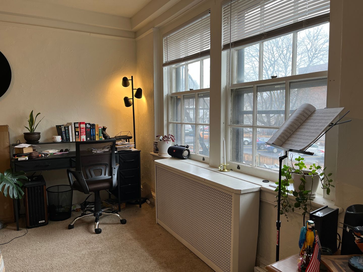 Ithaca Apartment: 100 W Buffalo St