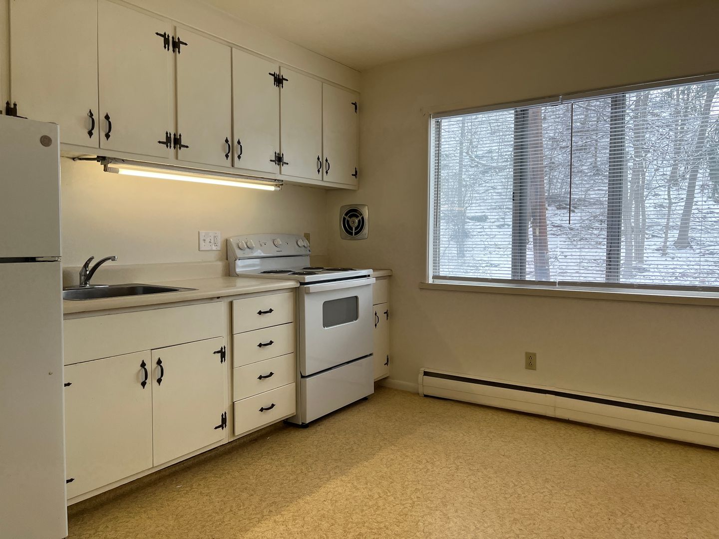 Ithaca Apartment: 509 Lake St