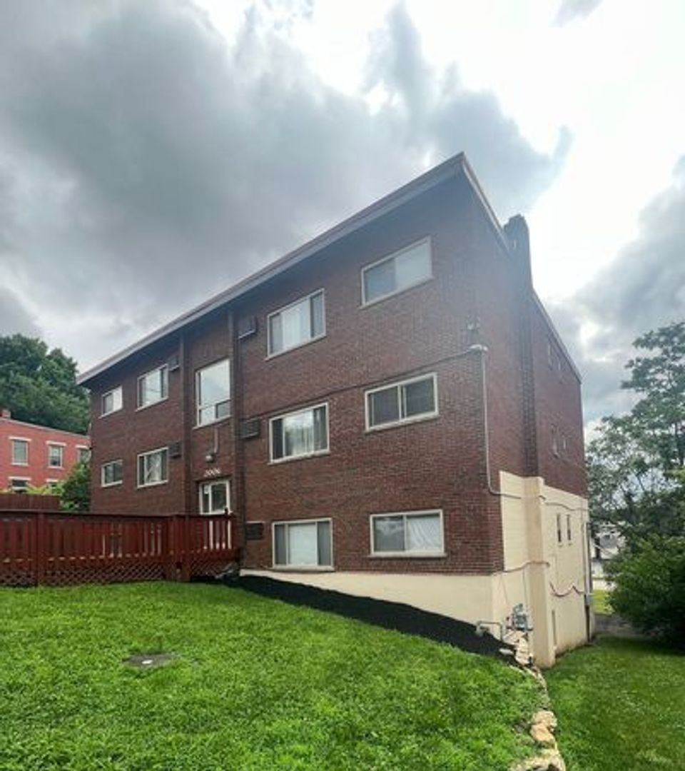 Cincinnati Apartment: 2006 Alvin St