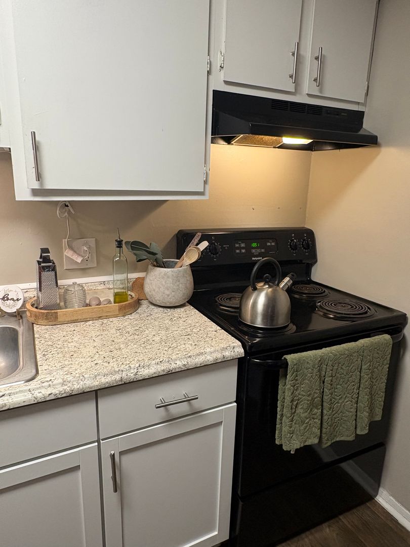 Statesboro Apartment: 210 Lanier Drive