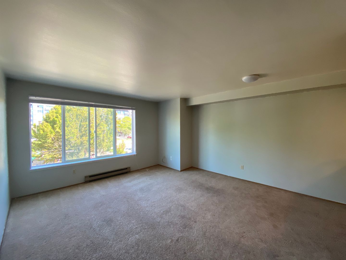Seattle Apartment: 5021 Brooklyn Avenue NE