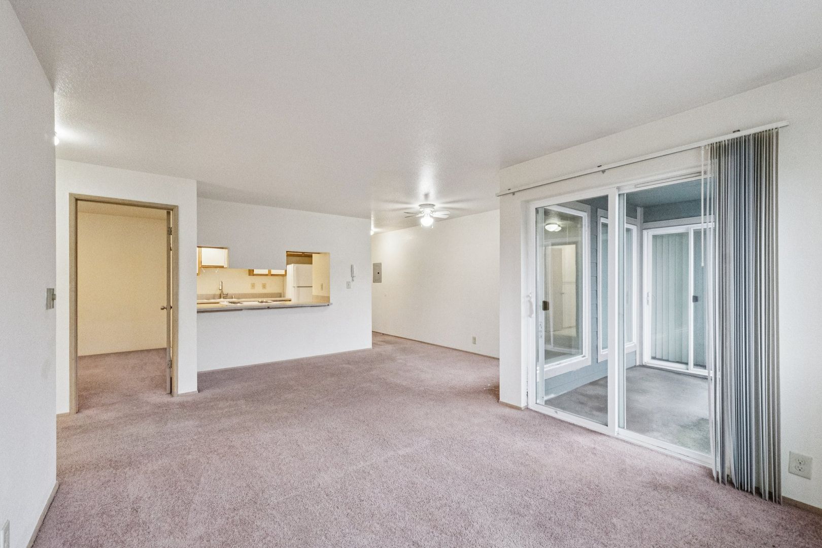 Seattle Apartment: 5219 Brooklyn Avenue NE