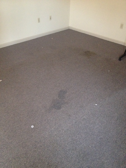 Conway Apartment: 2950 Becky Rd.