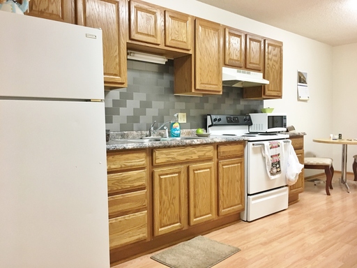 Old-Town Boone Apartment