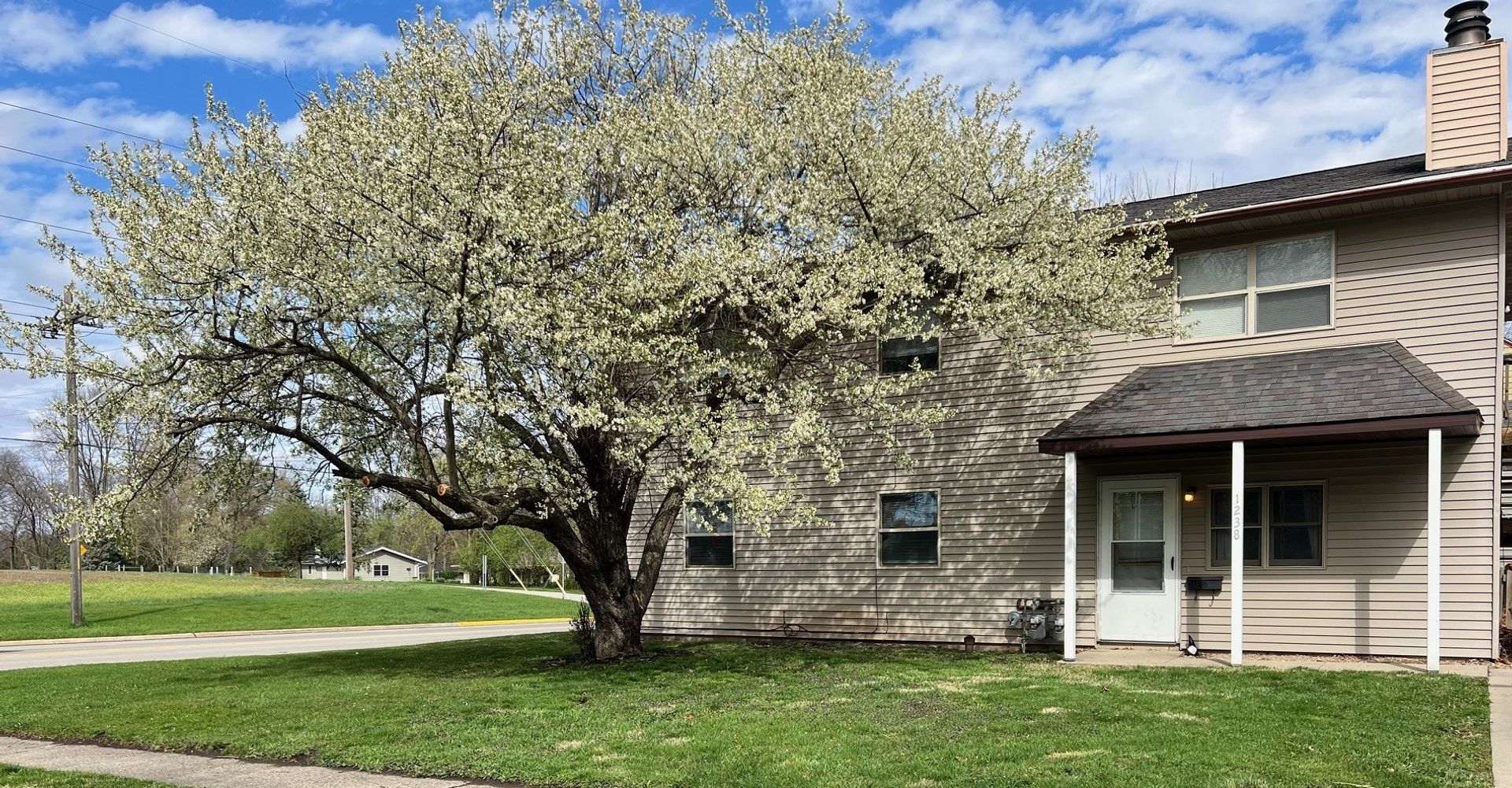 Ames House: 1240 Michigan Avenue